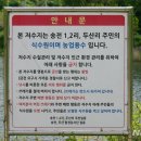 송전2리 이미지