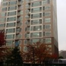 책향기로(3) 이미지