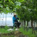 승산농장 이미지