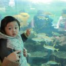 다대사랑어린이집 이미지