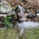 철마농장 이미지