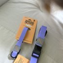 구스타독 네이버블로그