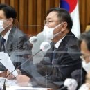 김태년 카카오 검색결과