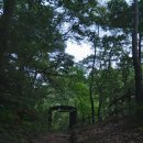 대가야 캐슬펜션 | 25.6.20 - 세상 예쁜 자연