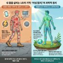 해외 웰니스 트렌드 EARTHING 뜻과 과학적인 접지 원리 총정리 (동작구 국사봉 게르마늄길 후기)