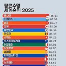 신하나공인중개사사무소 이미지