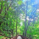 대불공원 우측 이미지