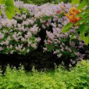 남고문 | 남고문 방문 후기: 오랜만에 꽃향기 속으로 들어가다