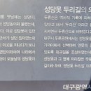 나무테크 이미지