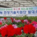 하일컨설팅