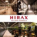 하이랙스 이미지