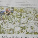 슈가툴 네이버블로그