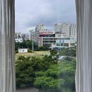 은하수 제주 | [제주] 제주도 3박4일 4인 숙소 추천🏠 | 신촌2548 &amp; 디아일랜드블루 &amp; 은하수 제주 | 숙소 상세 후기📝