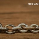 달빛공인중개사사무소 이미지