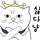 고양이 생활 호텔 이미지