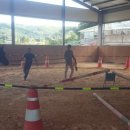 대암목장 이미지