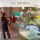 다솜생태체험관 | 경산 다솜 생태체험관 대구 근교 실내 아이랑 가볼만한곳
