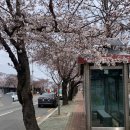 선덕여고앞 이미지