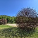 피움미술관 이미지