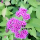 대세라이프