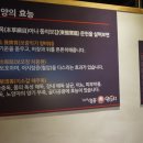 미미일품양꼬치