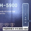 하이빅