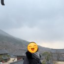 엔클라인뉴욕 | 명품백👍🏻 :: 프라다 듀엣 리나일론 버킷백 복조리백 3년차 실사용 후기(+홍콩 침사추이 아울렛 구입후기)