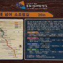 달래내길 이미지