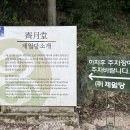 (주)제월당 네이버블로그