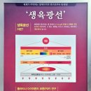 힐링포톤 이미지