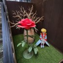 띠아트 | 인생샷 가득! 친구들과 다녀온 &lt;어린왕자 in 서울&gt; #띠아트홍대 솔직 후기✨