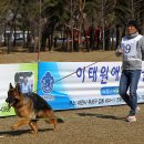 Gumiland 이미지