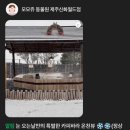 신화목욕탕 | 제주 실내동물원 모모쥬 제주신화랜드점 비오는제주 아기랑갈만한곳