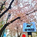 우백탄 본점 이미지