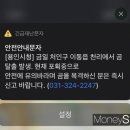 곰두마리농장 이미지
