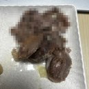 황소축산 | 일본에서 삼계탕 만들어먹기 닭똥집 손질 실패해서 먹뱉하는 사람 (닭 씻지 마세요 ;-;)