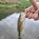 청도천4 이미지