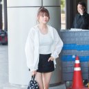 정연