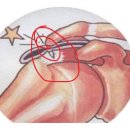 피트니스 더 클럽 이미지