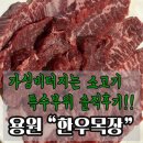 서운신목장 | [진해용원맛집] 용원소고기 진해소고기 갓성비 터지는 '한우목장' 특수부위 후기!