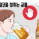 핫점핑다이어트 이미지