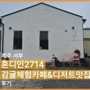 혼디인2714 | [후기] 혼디인 2714 감귤체험카페 : 천혜향 따기 체험 / 감귤 따기 체험 / 디저트 맛집