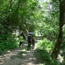 인현왕후길 이미지