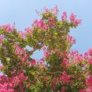 주촌센텀한의원 이미지