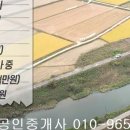 죽전리 Daum카페