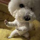 선휘 | 겨울이였슨