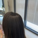 시크헤어 이미지