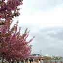 문성약국 이미지