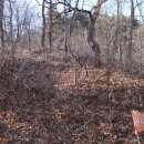 곰재농장 이미지