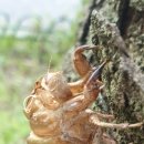 무장해제 이미지